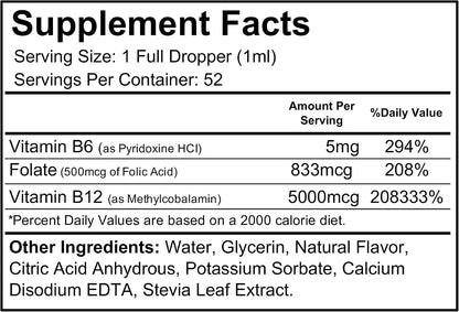 Wellgenix B12 Max Liquid - Sublingual Vitamin B12, B6 & Folic Acid Supplement (2 Pack)