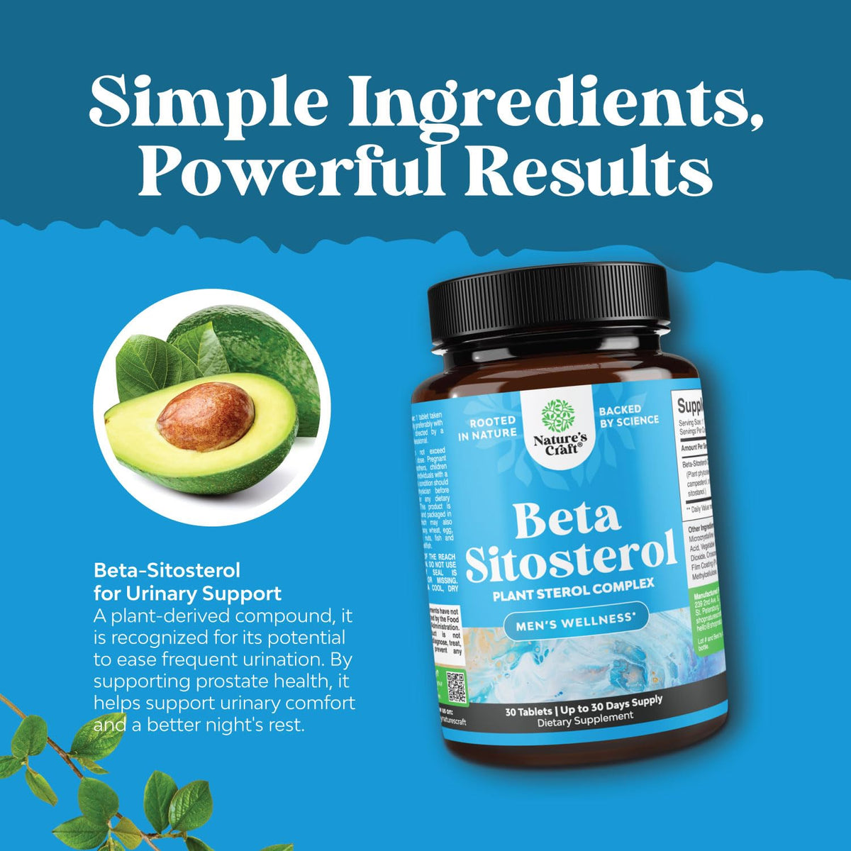 Plant Sterols Complex with Beta Sitosterol - 500mg Beta-Sitosterol Sterols and Stanols Supplement for Heart Health and Prostate Support - 30 Capsules - görsel 4