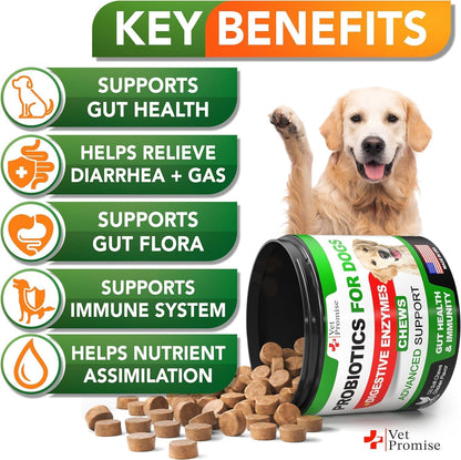 (2 Pack) Probiotics for Dogs - Dog Probiotics and Digestive Enzymes for Gut Health, Itchy Skin, Allergies, Immunity, Yeast Balance - Prebiotics - Reduce Diarrhoea, Wind - 240 Probiotic Chews for Dogs