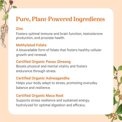 Pure Synergy Vita·Min·Vitality | Organic Men's Multivitamin | Daily Whole Food Supplement for Energy, Stress & Immunity (60 Tablets)