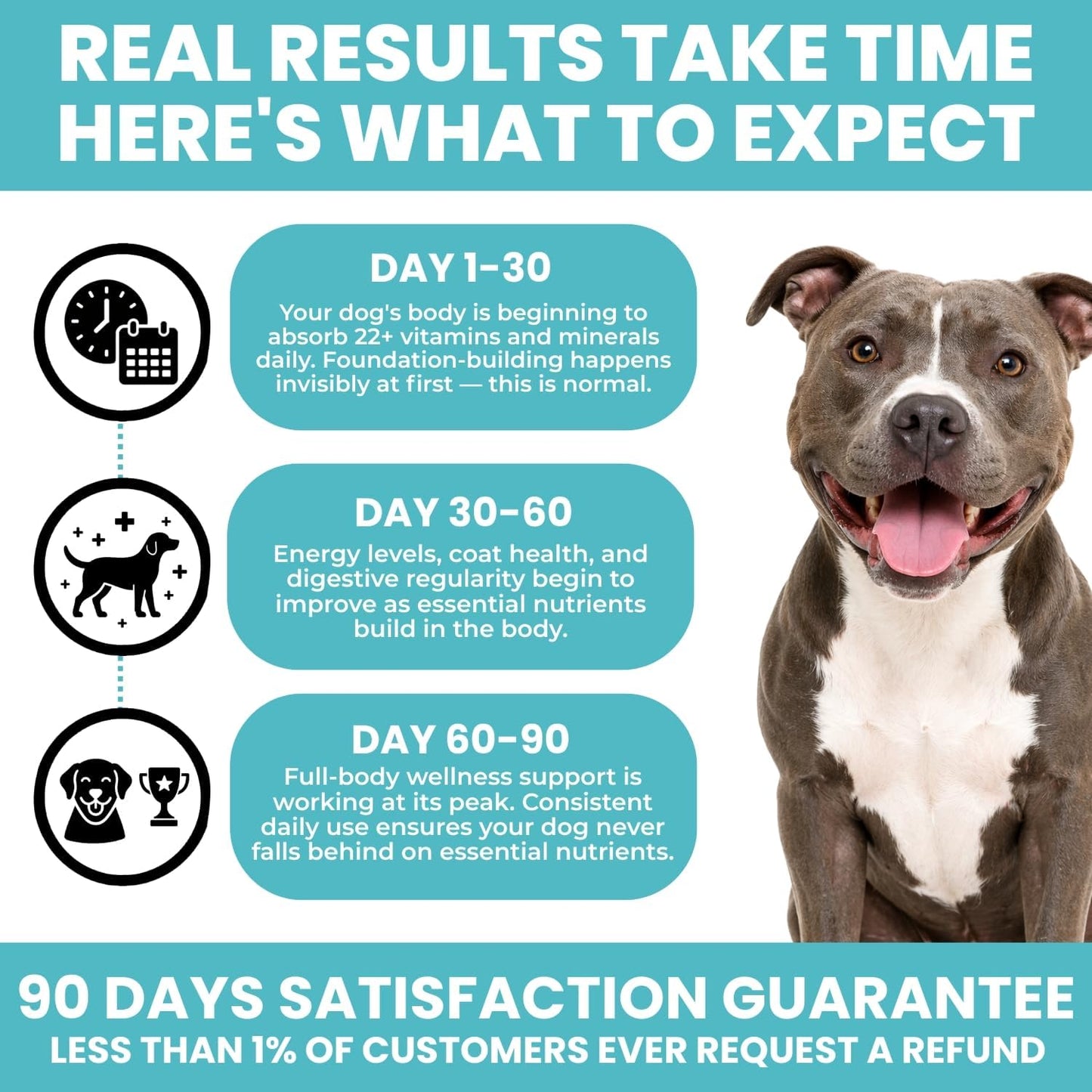 TRATEZ Multivitamin for Dogs - 25-in-1 Daily Soft Chews with Essential Vitamins & Minerals - Immune, Skin, Joint, Heart & Digestive Support - 60 Chews - görsel 7