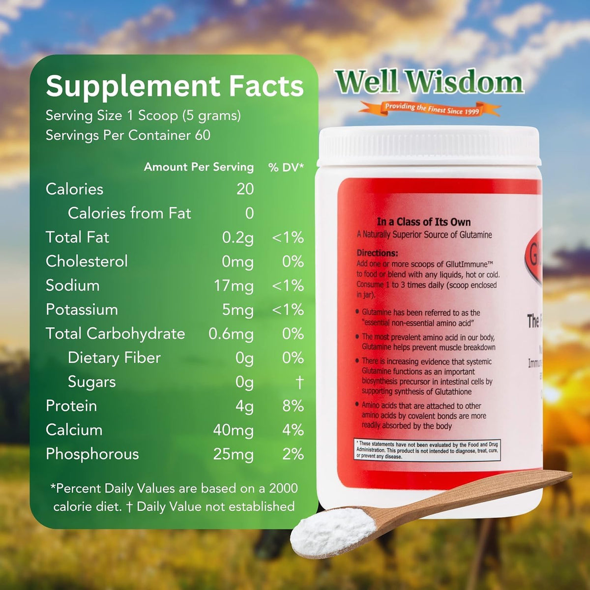 Well Wisdom Glut Immune - Covalent Bonded Glutamine Powder, Dairy-Free, 300g (60 Servings) - görsel 4