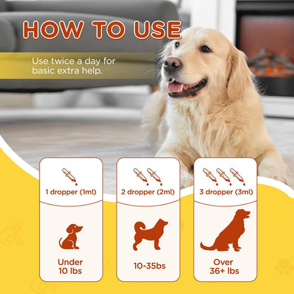 Kennel Cough Relief - UKNM Herbal Drops for Dogs (50ml)