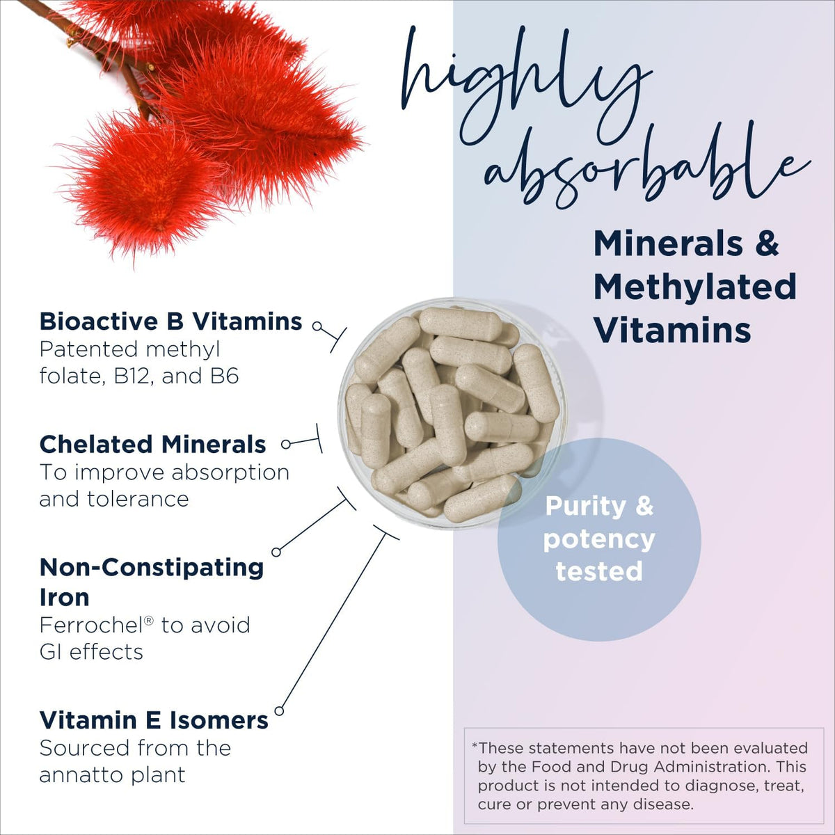Designs for Health Prenatal Pro Methylated Multivitamin for Women (120 Capsules) - görsel 3