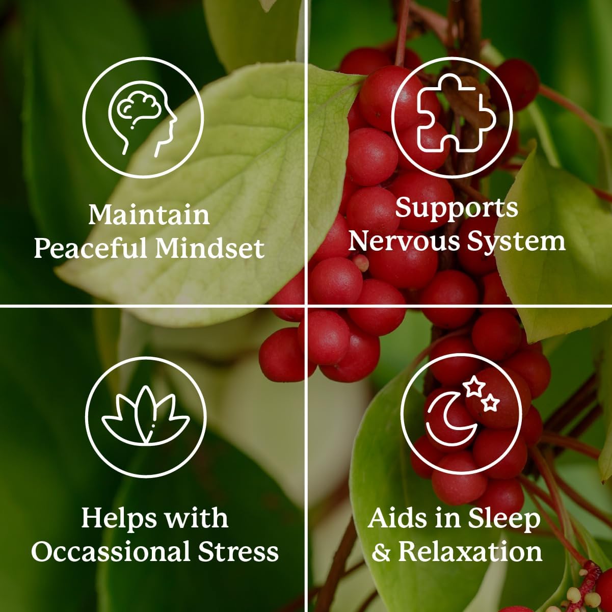 Nature's Sunshine Nutri-Calm - Herbal Food Supplement for Stress Relief, 100 Capsules - görsel 5