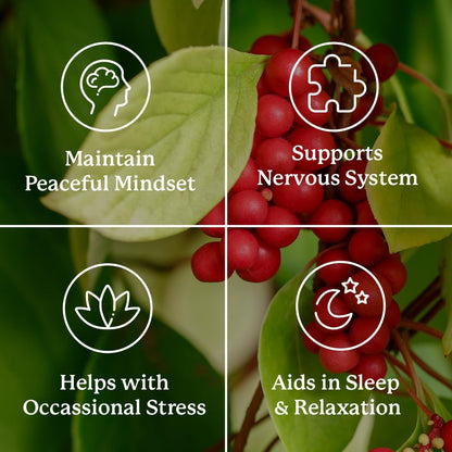 Nature's Sunshine Nutri-Calm - Herbal Food Supplement for Stress Relief, 100 Capsules