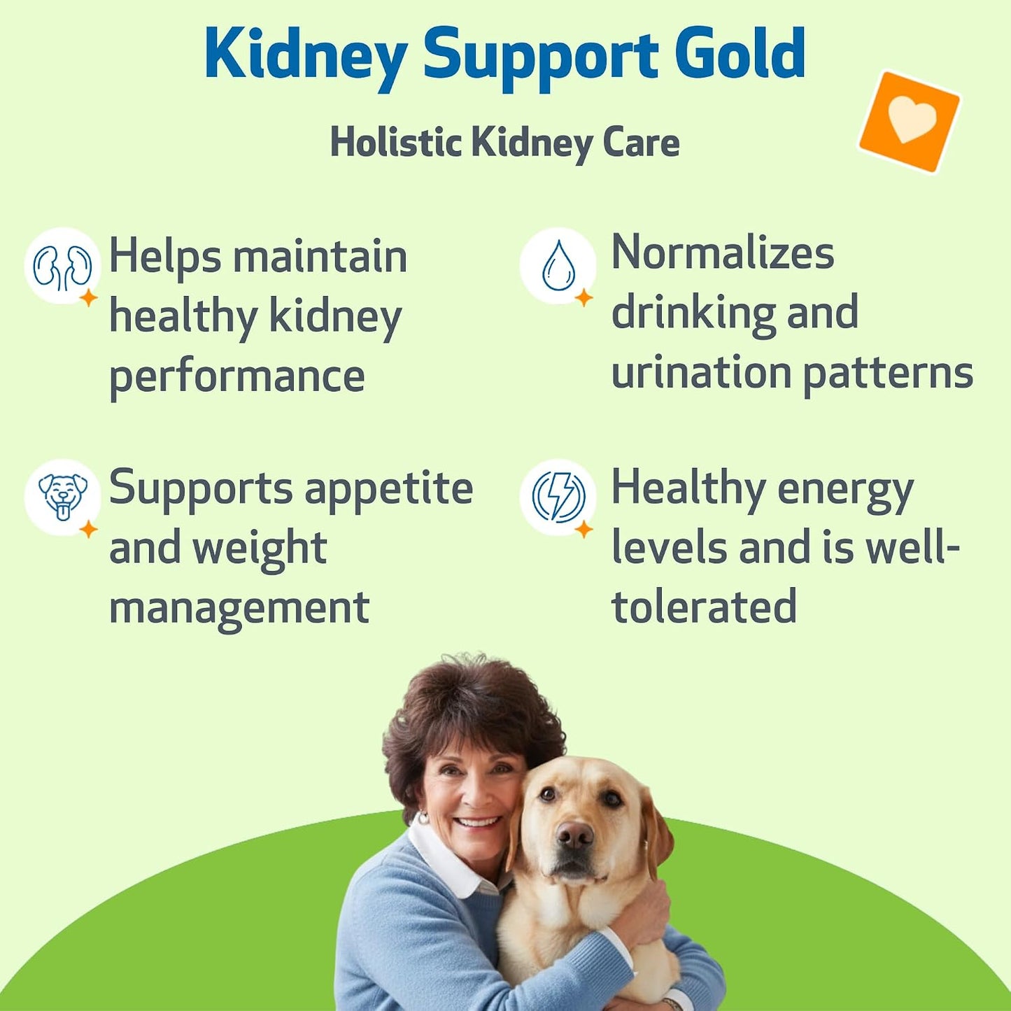Pet Wellbeing Kidney Support Gold for Dogs - Herbal Supplement, 59 ml - görsel 2