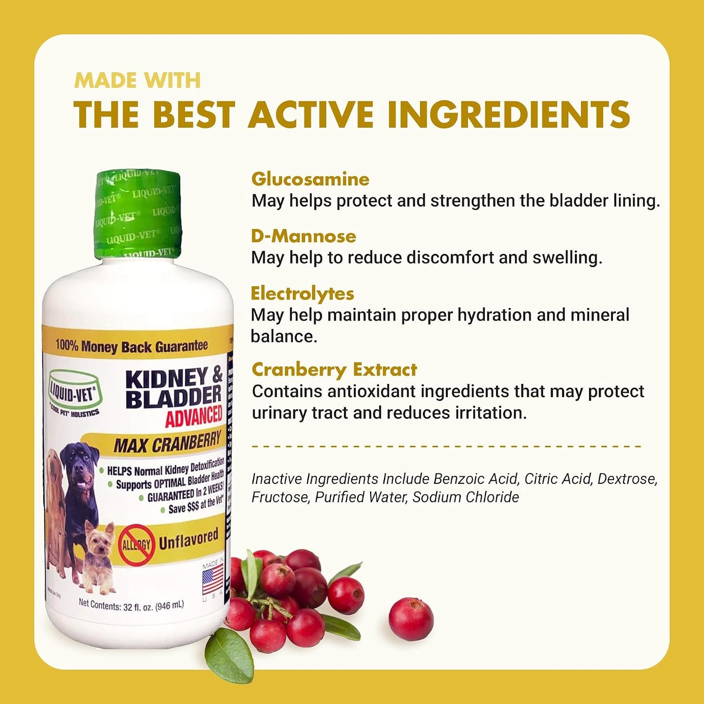 Premium Easy-Dose Liquid for Dogs with Cranberry & D-Mannose: Comprehensive Kidney & Bladder Support - görsel 4