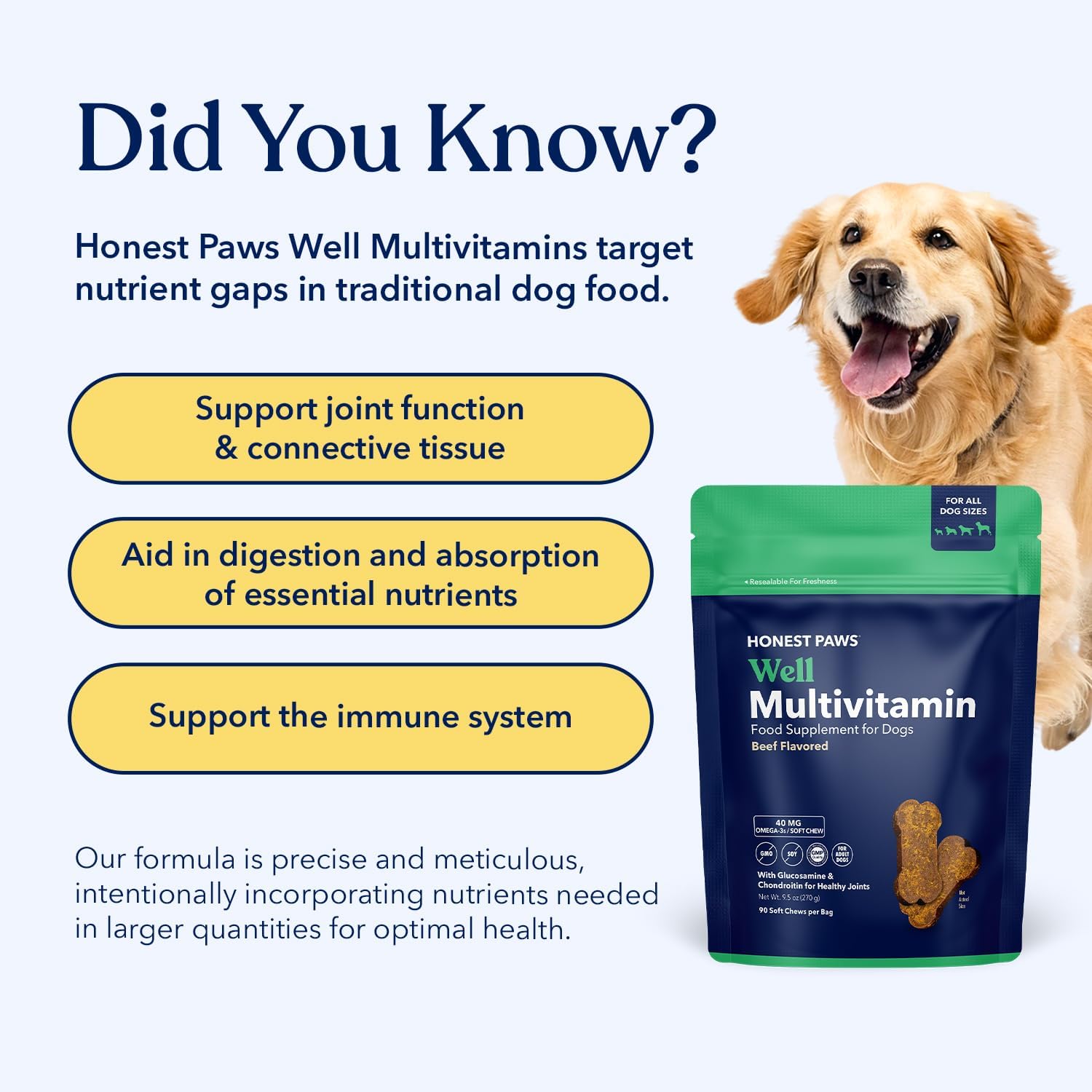 Honest Paws Dog Multivitamin Soft Chews - 90 Count - with 10 Essential Vitamins, Glucosamine, Chondroitin & Omega-3 - Beef Flavour - görsel 8