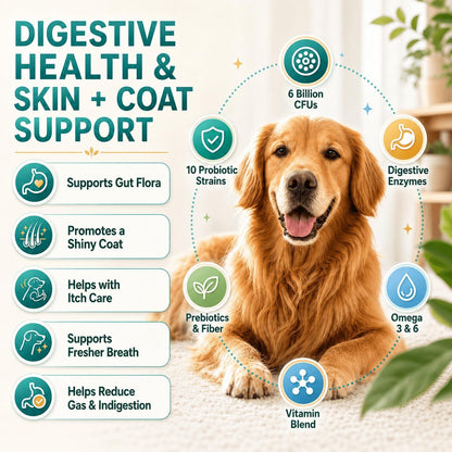 ZEBORA Probiotics for Dogs & Cats, 6 Billion – Large dogs (over 23 kg): 3 chews per day – Image 3