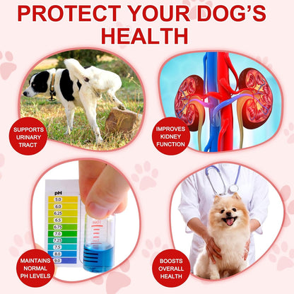 Cranberry for Dogs – Urinary Support Chewable Tablets, Chicken Flavour (180 Count)
