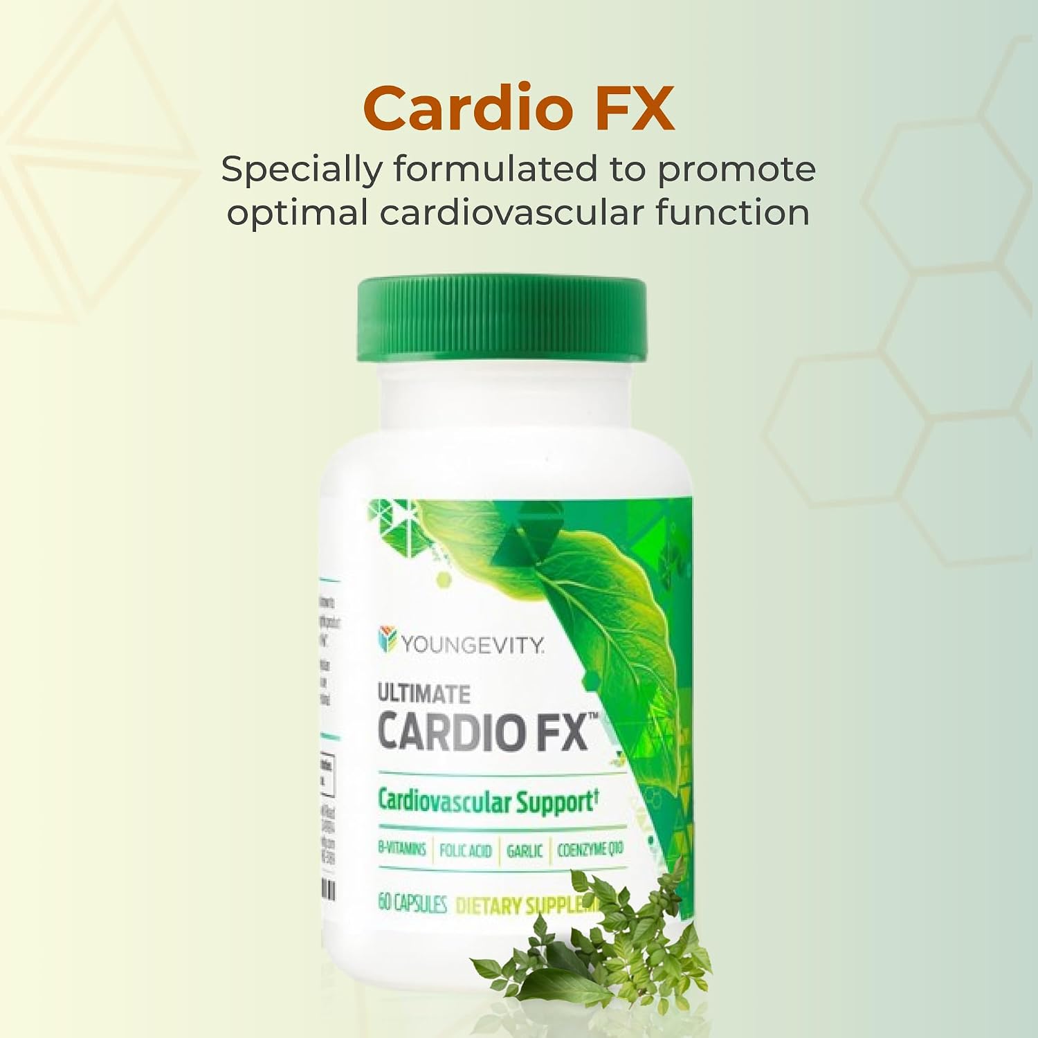 Cardiovascular Support Cardio FX - 60 Capsules - görsel 2