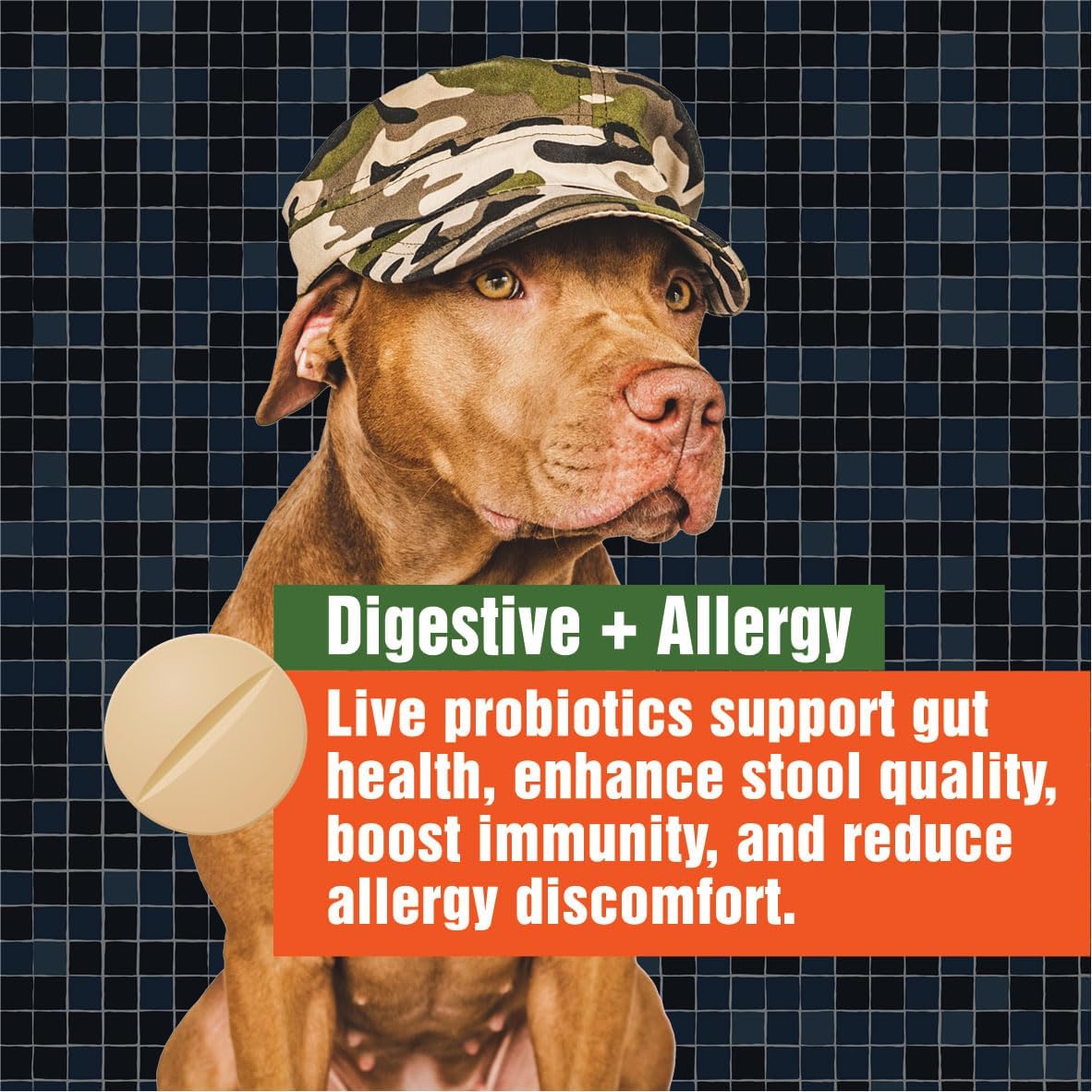 Army Soldier Owned Dog Probiotics for Yeast, Itchy Skin & Itchy Ears, Dog Allergy Support, Digestive Health, Occasional Diarrhoea & Immune Support, 3 Billion CFU, 60 Yummy Chewables - görsel 7