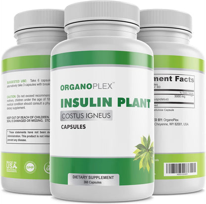 ORGANOPLEX Insulin Plant Capsules (Costus Igneus) – 100% Natural Supplement, 360 Veggie Caps (2 Month Supply)