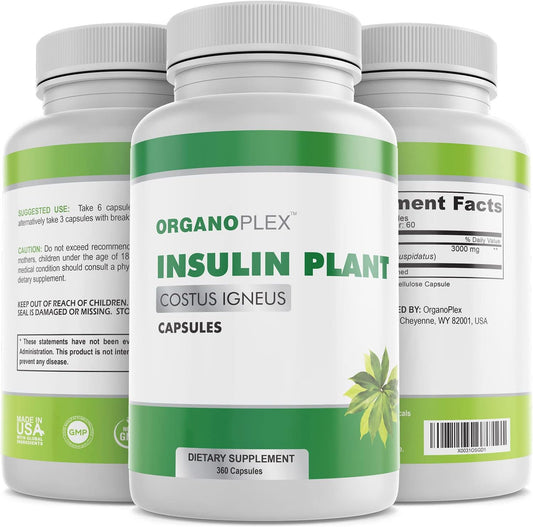 ORGANOPLEX Insulin Plant Capsules (Costus Igneus) – 100% Natural Supplement, 360 Veggie Caps (2 Month Supply)