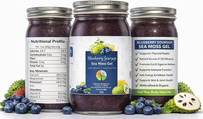 Organic Blueberry and Soursop Fruit Sea Moss – Natural Energy: Packed with B vitamins and iron, sea moss gel may – Image 1