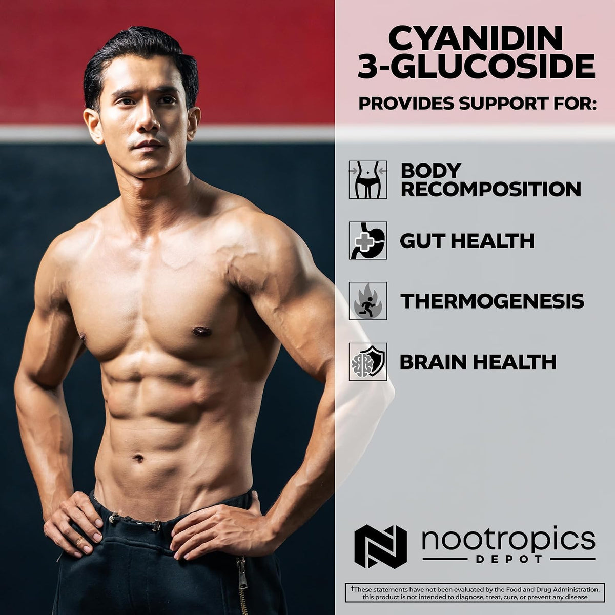 Nootropics Depot Cyanidin 3-Glucoside Capsules | 125mg | 180 Capsules | Black Rice Extract | C3G - görsel 4