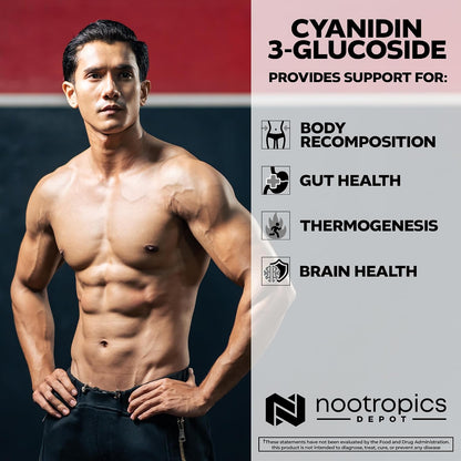 Nootropics Depot Cyanidin 3-Glucoside Capsules | 125mg | 180 Capsules | Black Rice Extract | C3G