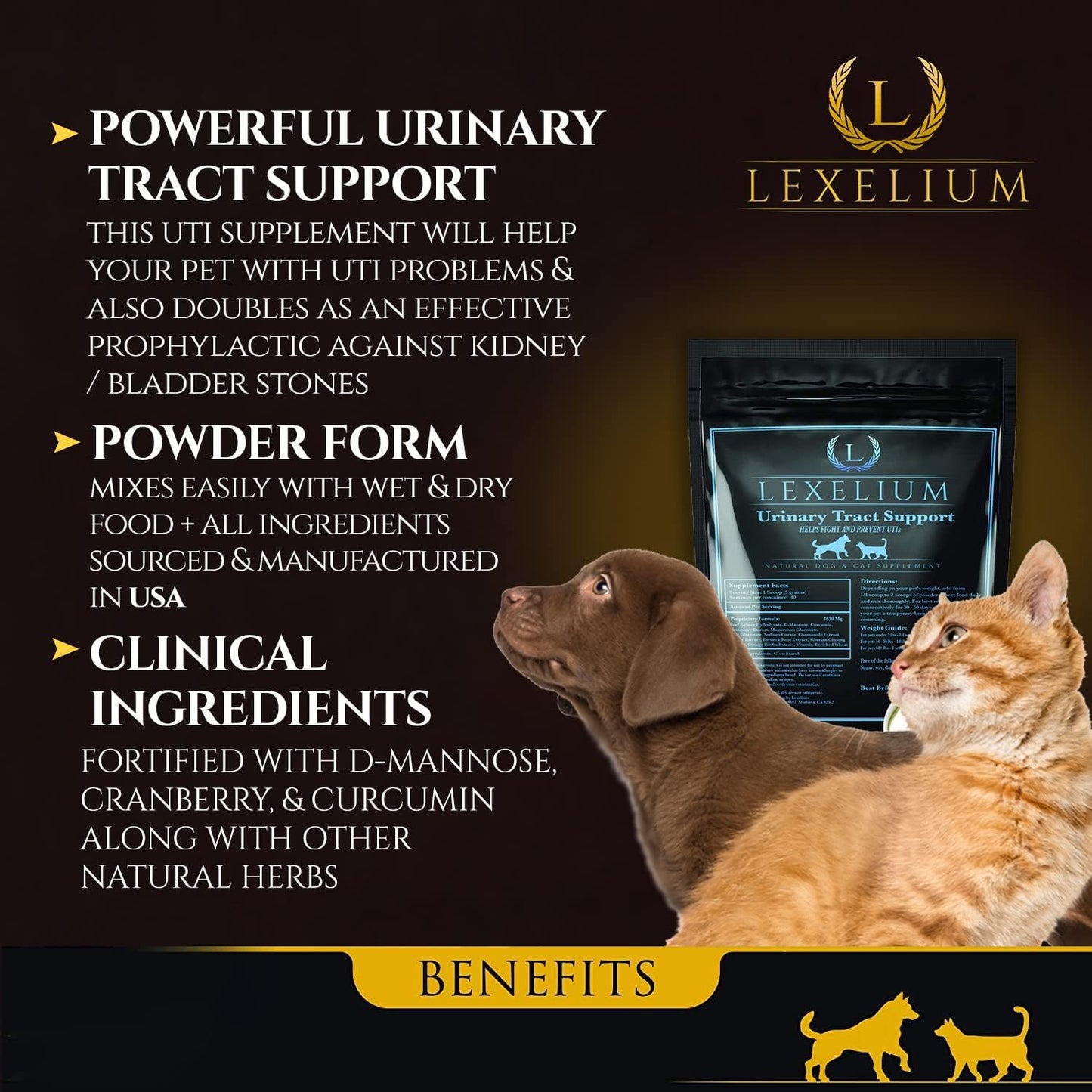 Organic Urinary Tract Infection UTI Support for Dogs and Cats - Enriched with Cranberry, D Mannose, and Curcumin - Optimises Kidney & Bladder Function - 200 g - görsel 2