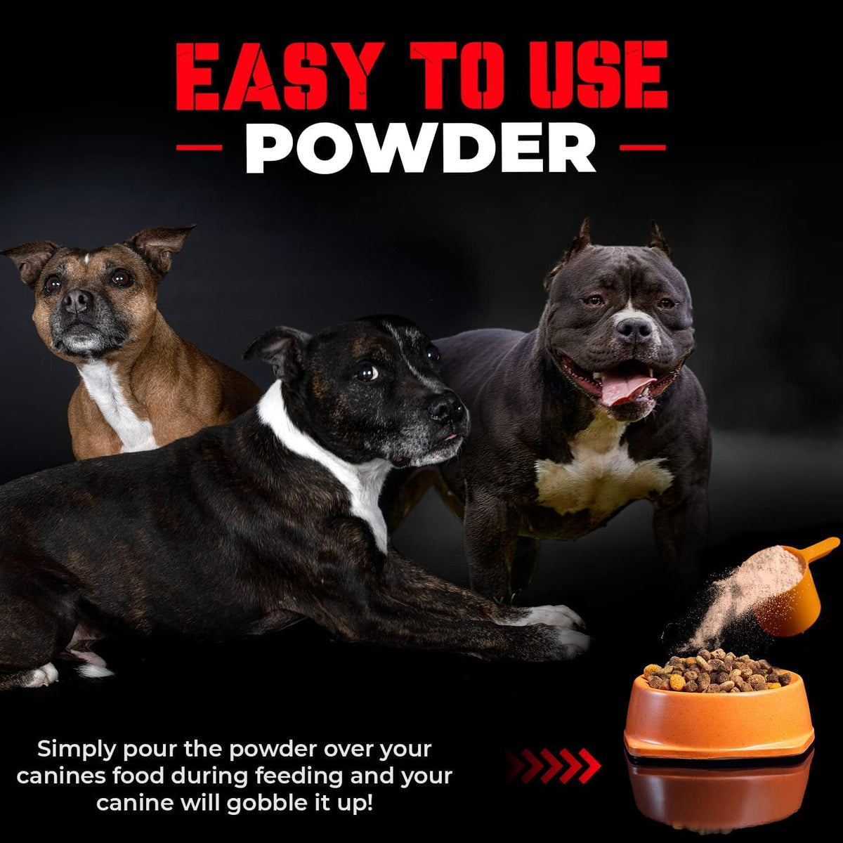 Convenient Real Meat Protein Powder for Dogs – 283g Pure Protein Supplement - görsel 6