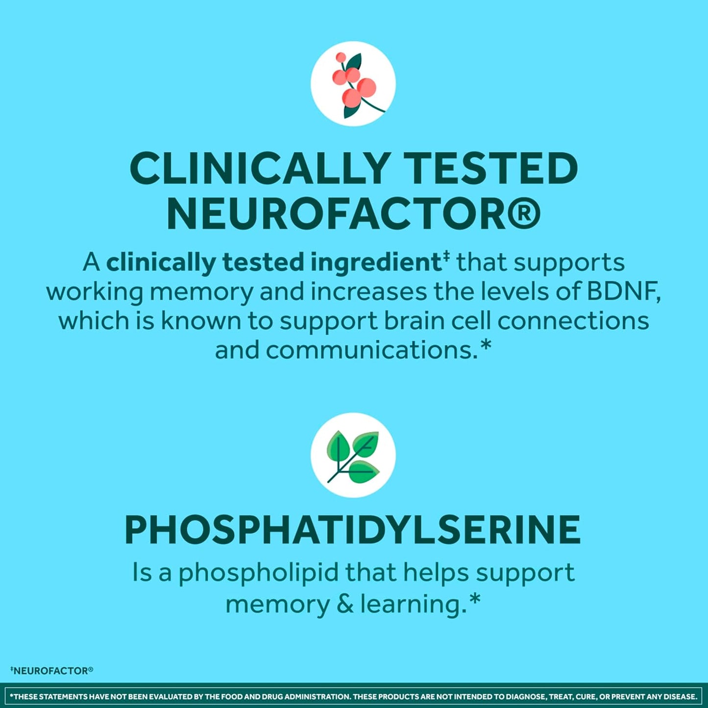 NEURIVA Plus Brain Supplement for Memory and Focus, with Vitamin B6, B12, Folic Acid, 30 Capsules - görsel 4
