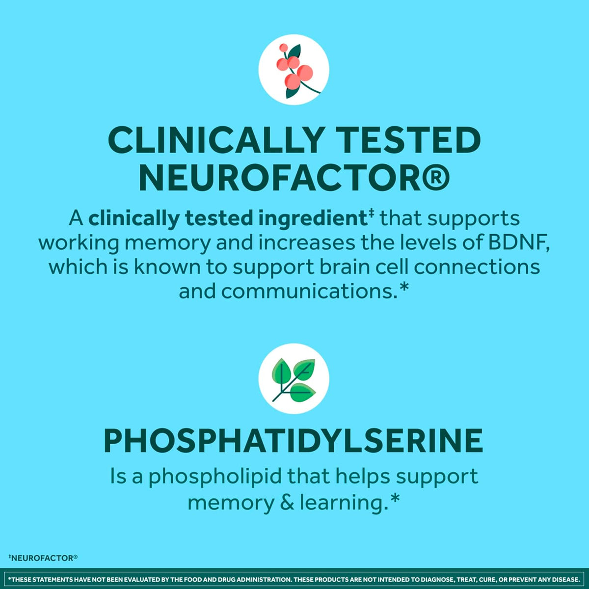 NEURIVA Plus Brain Supplement for Memory and Focus, with Vitamin B6, B12, Folic Acid, 30 Capsules - görsel 4