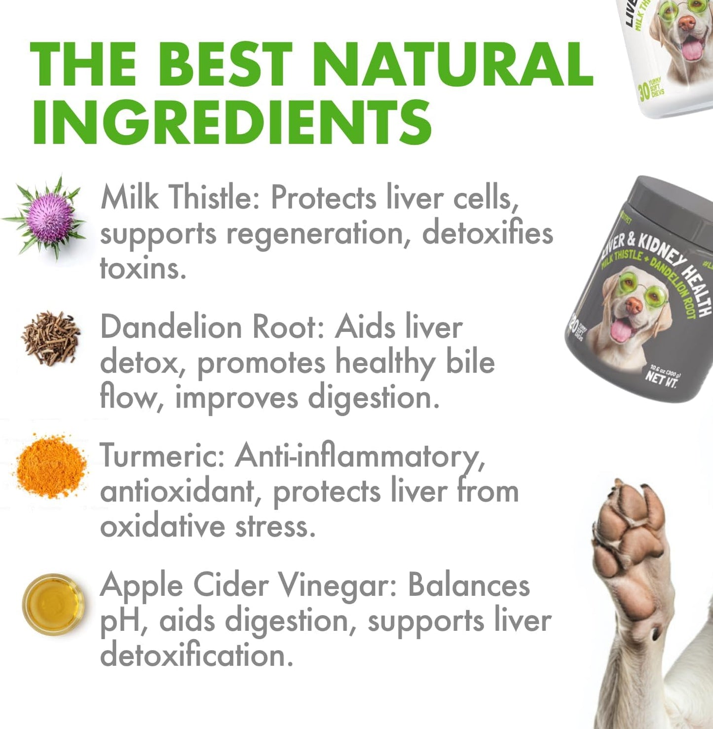 Liver & Kidney Support for Dogs – Natural Herbal Supplement with Milk Thistle, Turmeric & Dandelion Root (30 Soft Chews) - görsel 5