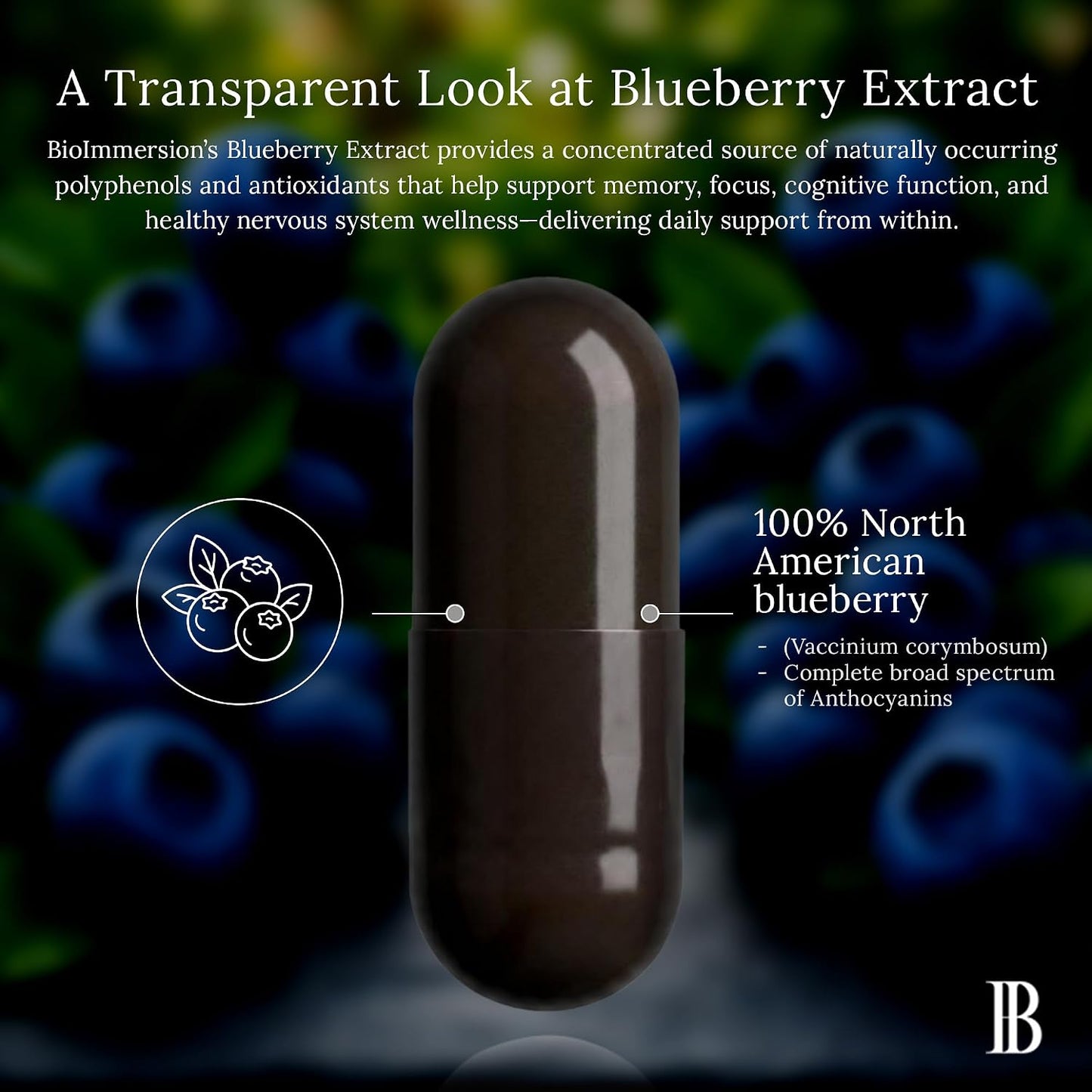 North American Blueberry Extract 500mg - Supports Brain and Cellular Health with Highly Concentrated 80:1 Anthocyanin and Polyphenol Content - Pure Vegan Antioxidant - 60 Capsules - görsel 6