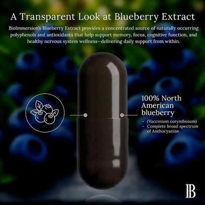 North American Blueberry Extract 500mg - Supports Brain and Cellular Health with Highly Concentrated 80:1 Anthocyanin and Polyphenol Content - Pure Vegan Antioxidant - 60 Capsules