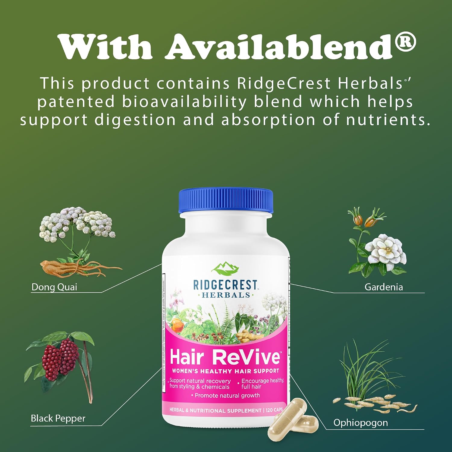 RidgeCrest Herbals Hair ReVive, Nutritional Hair Supplement with Vitamin C, Biotin (6000mcg), Zinc and Copper, Hair Vitamins for Women (120 Capsules, 30 Servings) - görsel 6