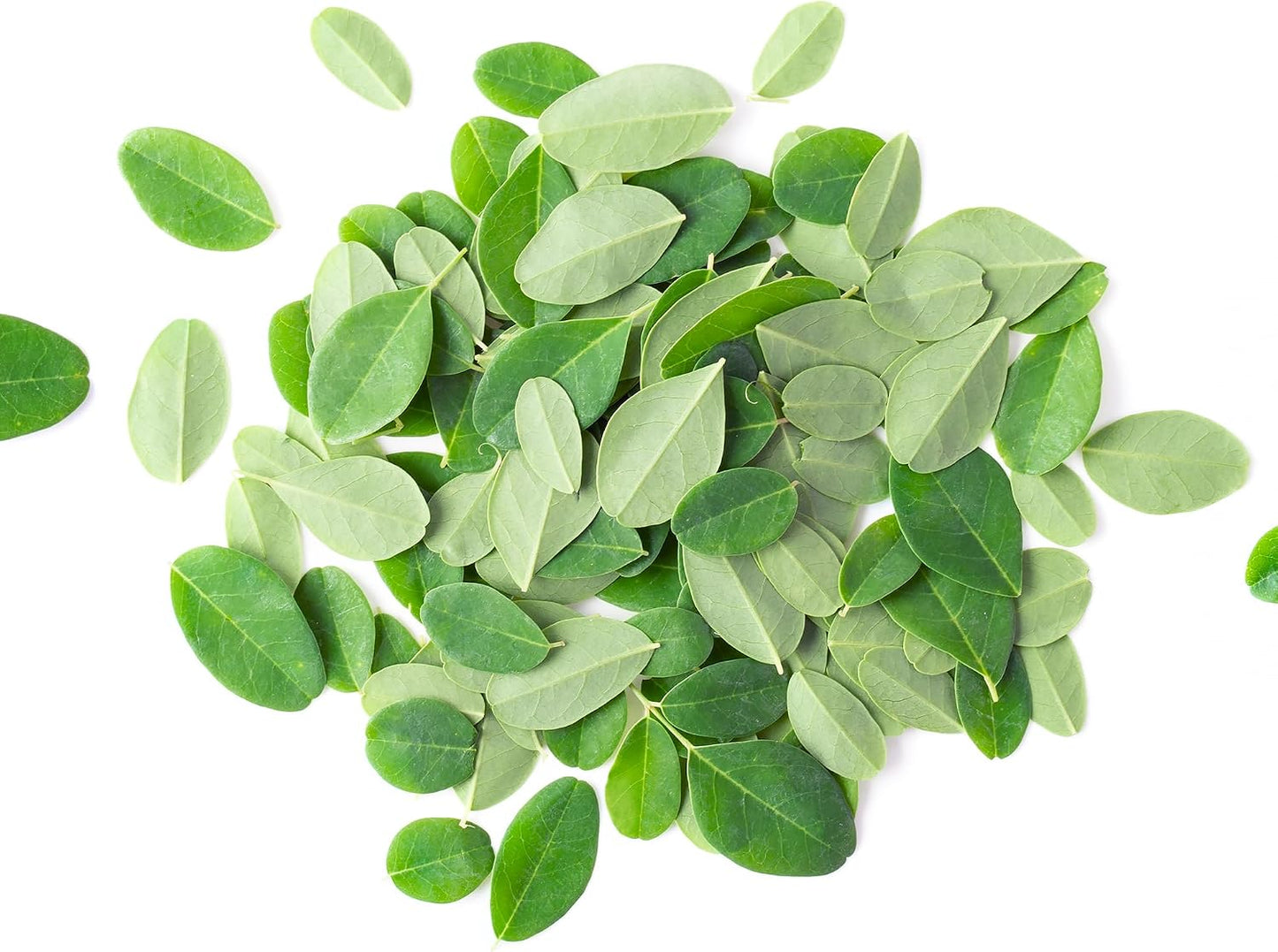 PURE ORIGINAL INGREDIENTS Moringa (8oz) Moringa Oleifera Leaf Extract, Natural Herbal Supplement - görsel 3