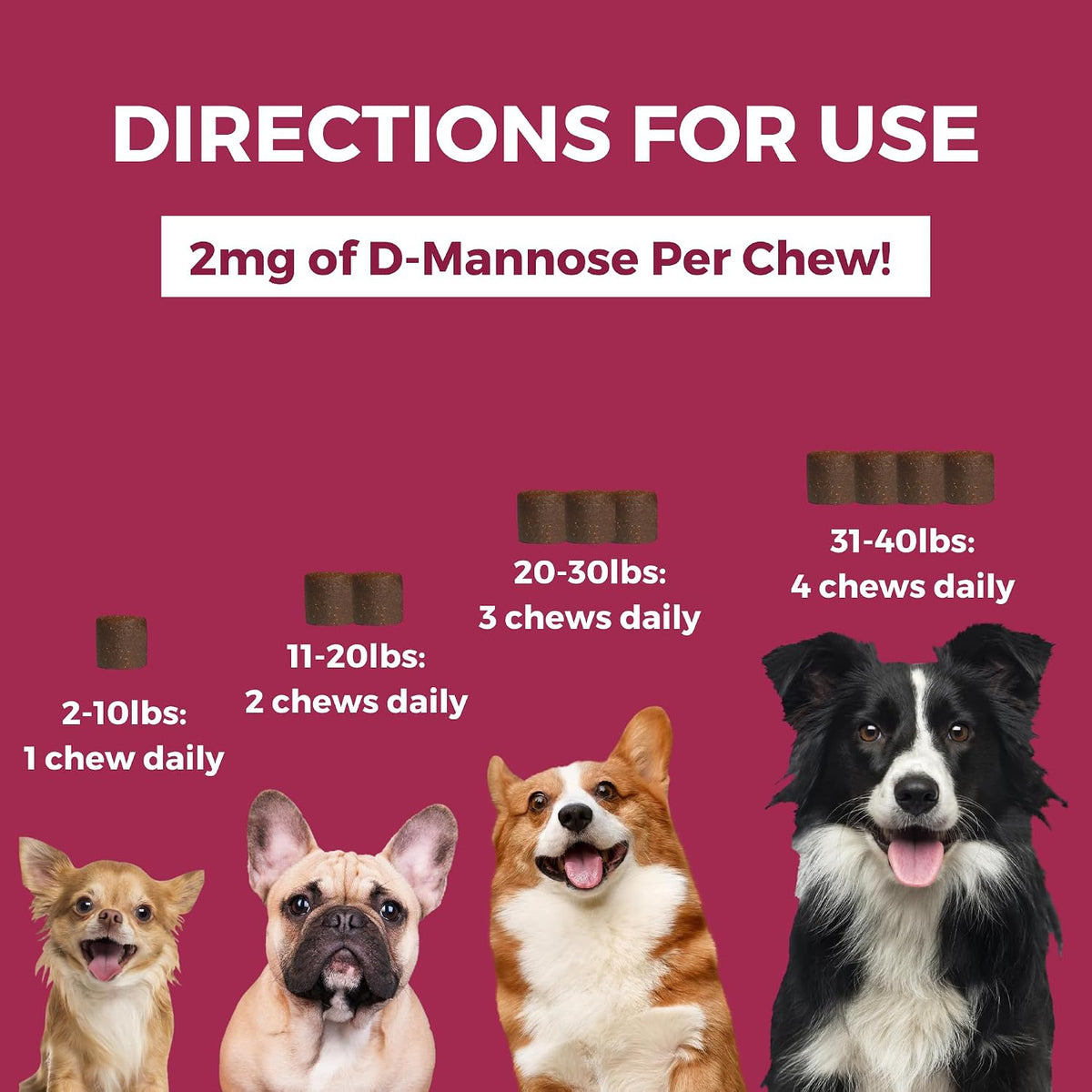 Nootie Progility Mini Urinary Support Supplement for Dogs, Bladder Support with Cranberry and D-Mannose, 60 Soft Chews - görsel 3