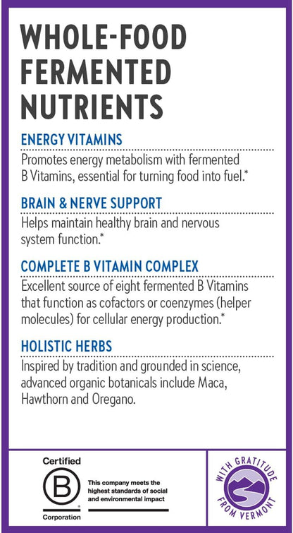 New Chapter Fermented Coenzyme B Complex - Advanced B Vitamin Supplement with Organic Turmeric & Maca, 90 Tablets