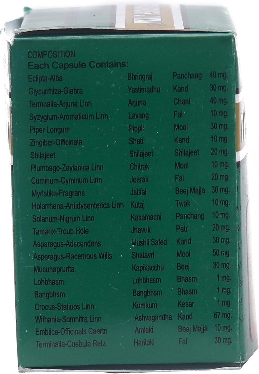 Paurush Jeevan Ayurvedic Capsules (6x10 Caps) - görsel 2