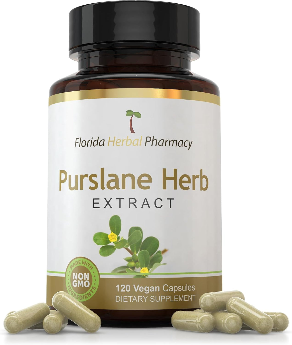 Purslane Herb Extract Supplement Capsules 10:1 (120 Capsules) - görsel 1