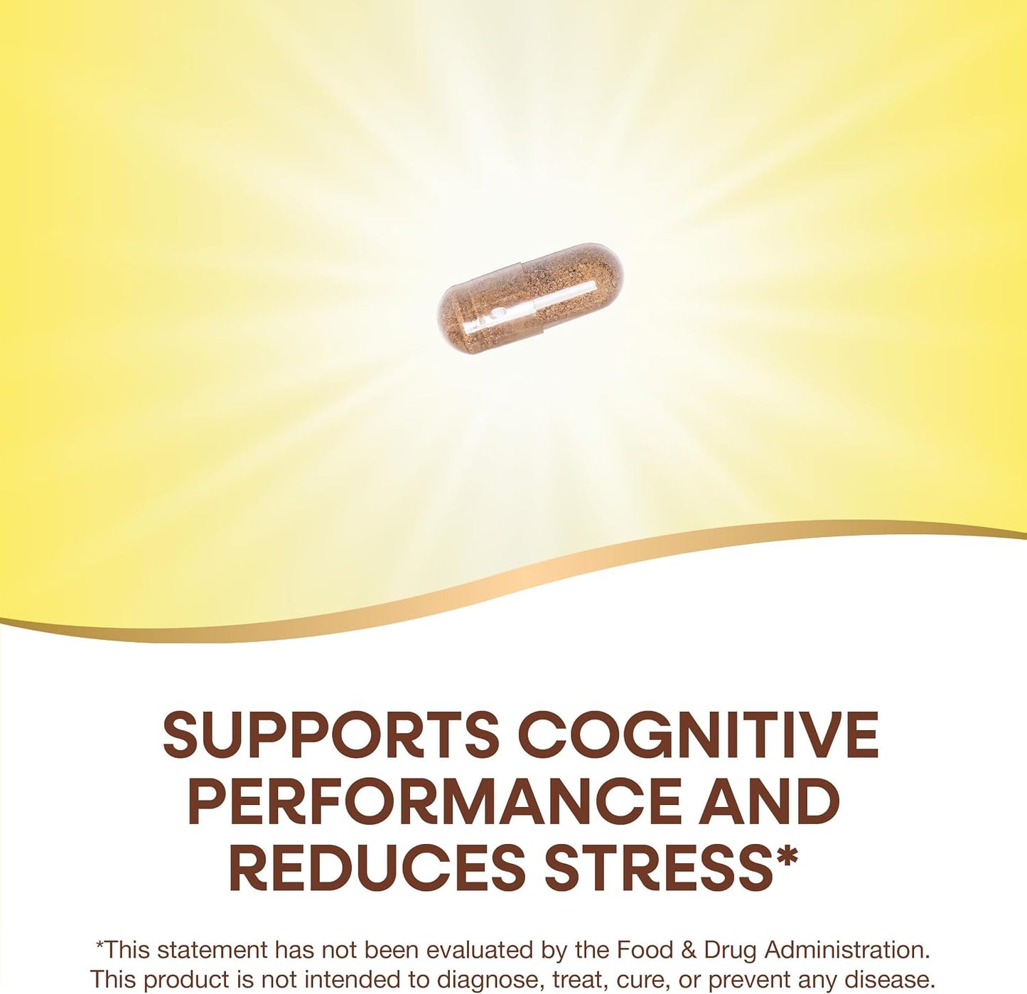 Nature's Way Clear Thinking Cognitive Performance, Ashwagandha, 40 Capsules - görsel 3