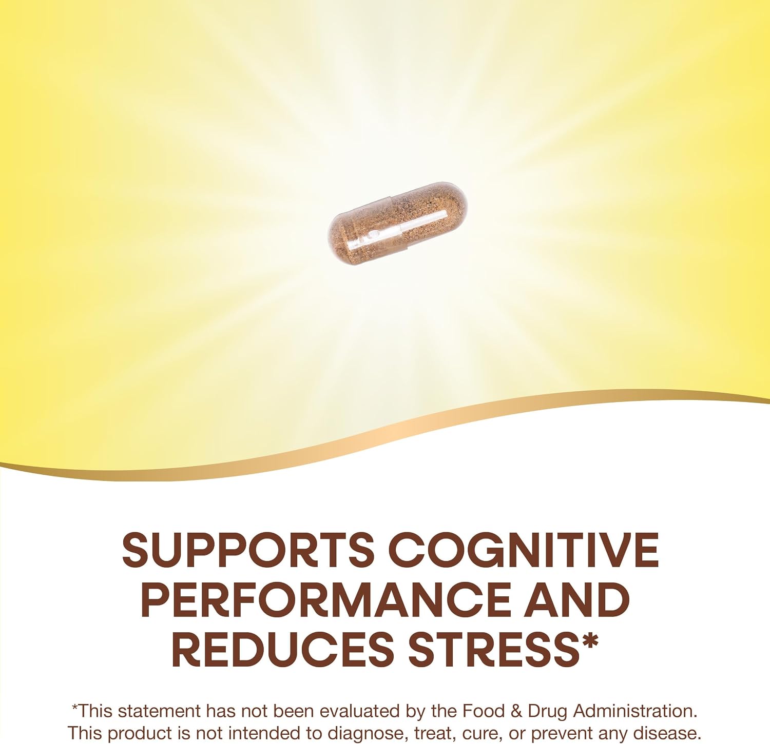 Nature's Way Clear Thinking Cognitive Performance, Ashwagandha, 40 Capsules - görsel 3