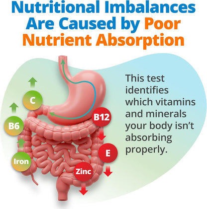 5Strands Nutrition Test – At-Home Hair Analyse for 112 Vitamins, Minerals & Amino Acids
