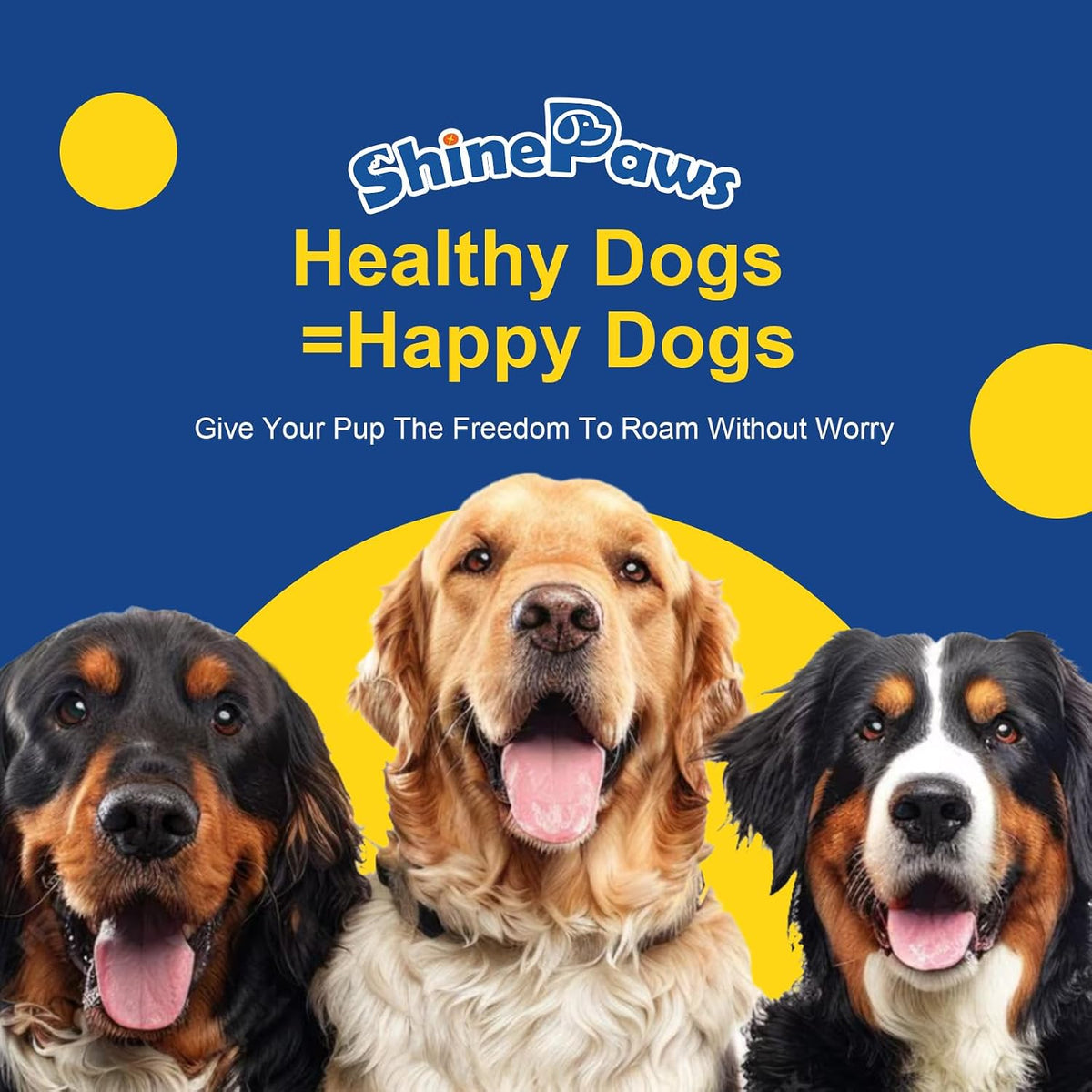 SHINEPAWS Omega-3 Fish Oil for Dogs – Chicken Flavoured Chews with EPA, DHA, Zinc & Biotin (120 Count) - görsel 8