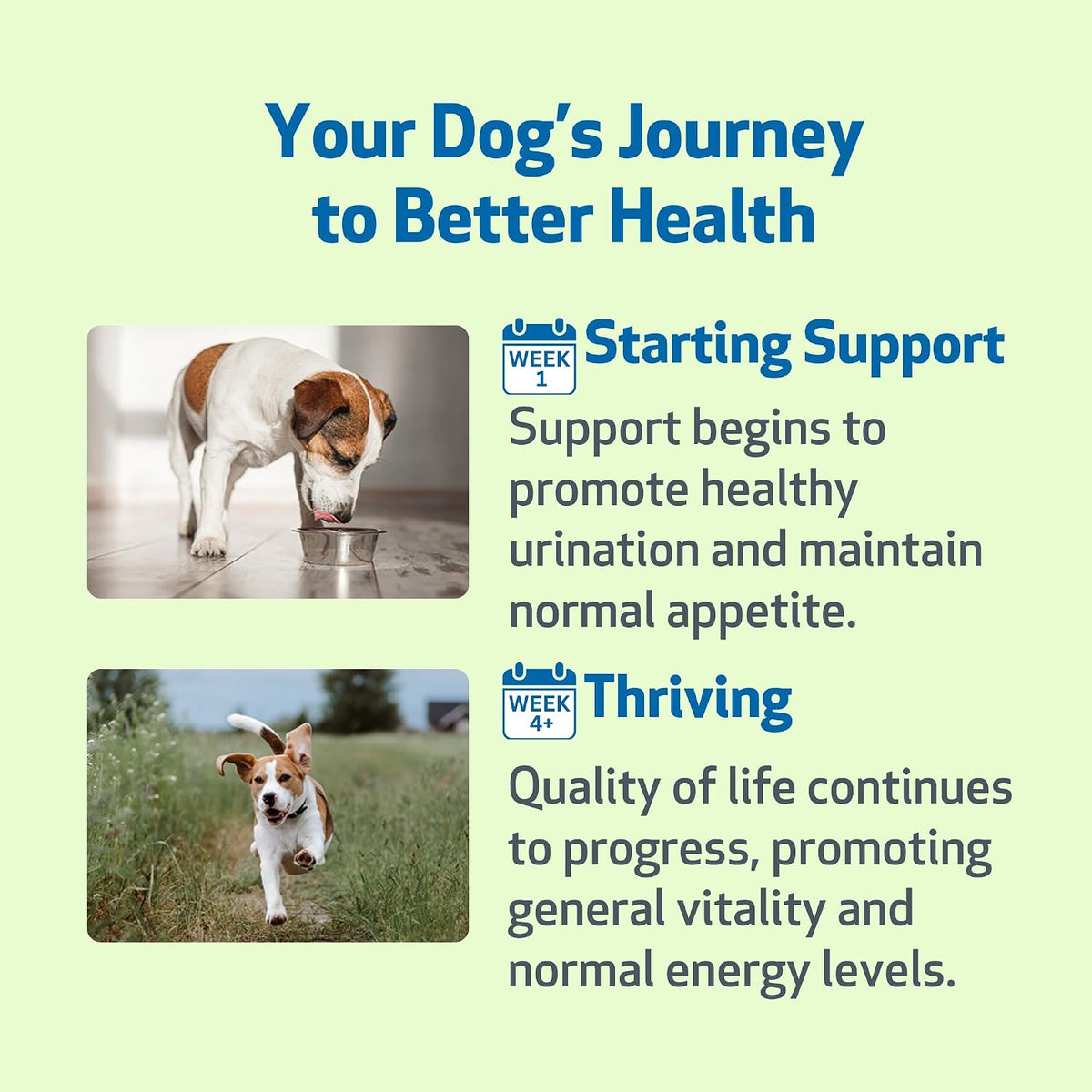 Pet Wellbeing Kidney Support Gold for Dogs - Herbal Supplement, 59 ml - görsel 4
