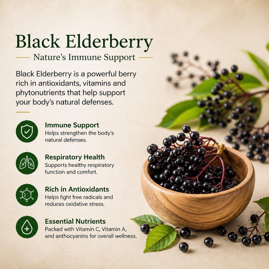 Super Immune Support, 6-in-1 Immune Supplement - NAC, Quercetin, Elderberry, Chlorella, Chaga & Bromelain - görsel 3