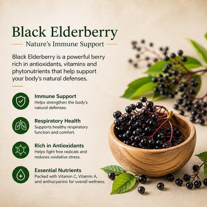 Super Immune Support, 6-in-1 Immune Supplement - NAC, Quercetin, Elderberry, Chlorella, Chaga & Bromelain
