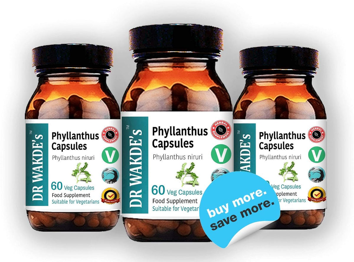 DR WAKDE's Phyllanthus Capsules (Bhumi-amla/Bhumyamalaki) - 100% Herbal Ayurvedic Supplement, 60 Vegan Capsules - görsel 5