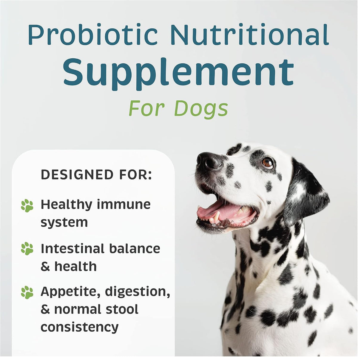 VetOne Advita Probiotic Nutritional Supplement for Dogs, 30 Sachets - görsel 2