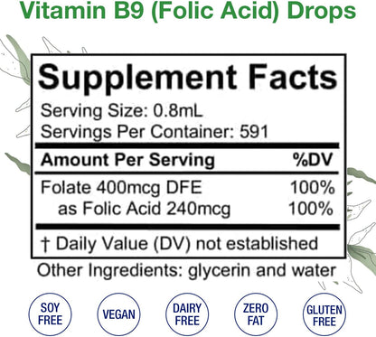 HoneyCombs Folic Acid Drops, 473 ml