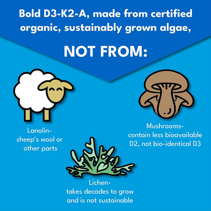 Bold Botanica Vitamin D3-K2-A Liquid Drops – 2500 IU Vegan D3 from Algae with K2 (MK7) & A, 3-in-1 Immune, Bone & Heart Support, Orange Flavour (30 ml, 60 Servings)