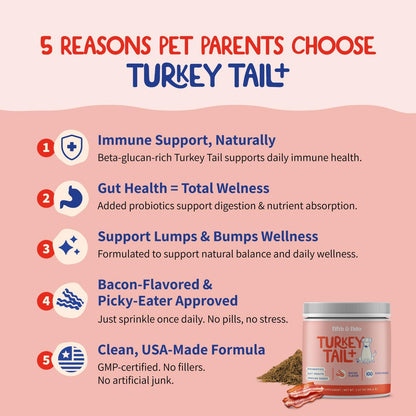 Fifth & Fido Turkey Tail Mushroom for Dogs – Immune Support & Digestive Health, 100 Servings