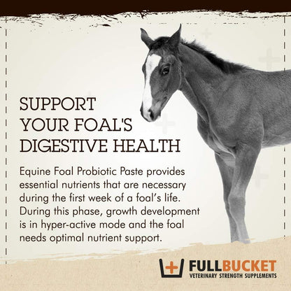 Health Foal Probiotic Paste, Natural Nutritional Supplement, 32.5 gram Tube