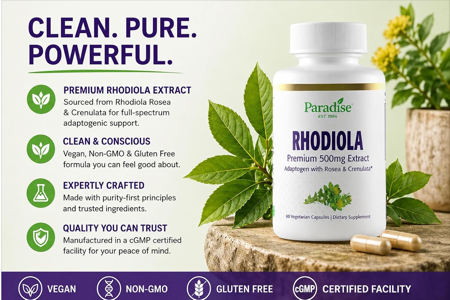 Paradise Herbs Rhodiola Extract 500mg, Adaptogen for Stress Resilience, Vegan, Non-GMO, Gluten Free, 60 Vegetarian Capsules - görsel 2