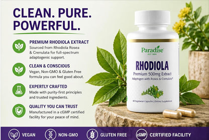 Paradise Herbs Rhodiola Extract 500mg, Adaptogen for Stress Resilience, Vegan, Non-GMO, Gluten Free, 60 Vegetarian Capsules
